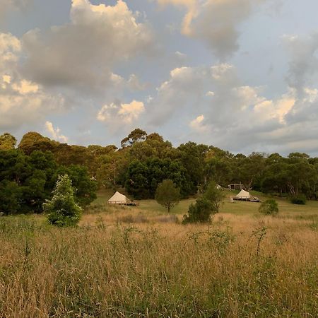 Iluka Retreat Glamping Village Red Hill South Extérieur photo