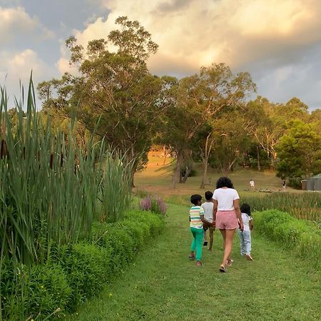 Iluka Retreat Glamping Village Red Hill South Extérieur photo