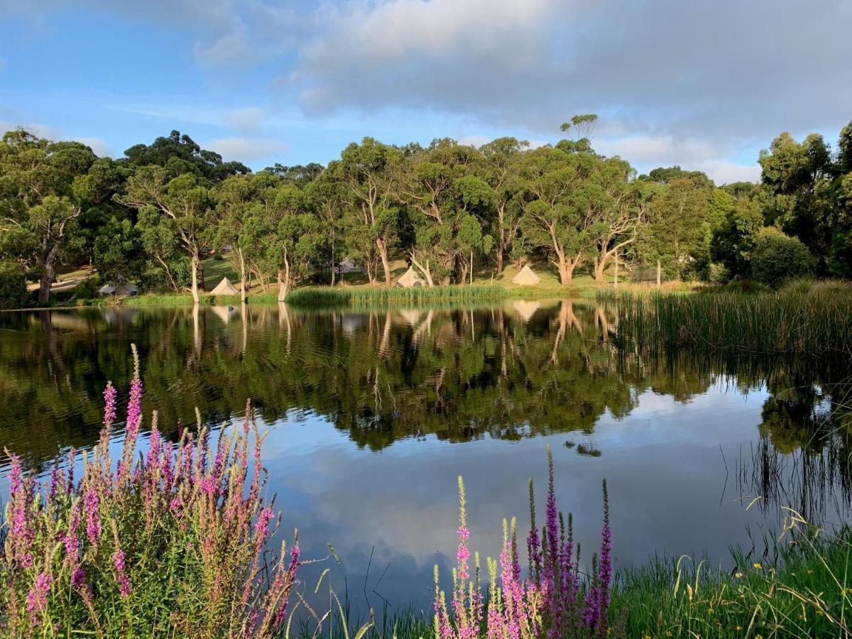 Iluka Retreat Glamping Village Red Hill South Extérieur photo