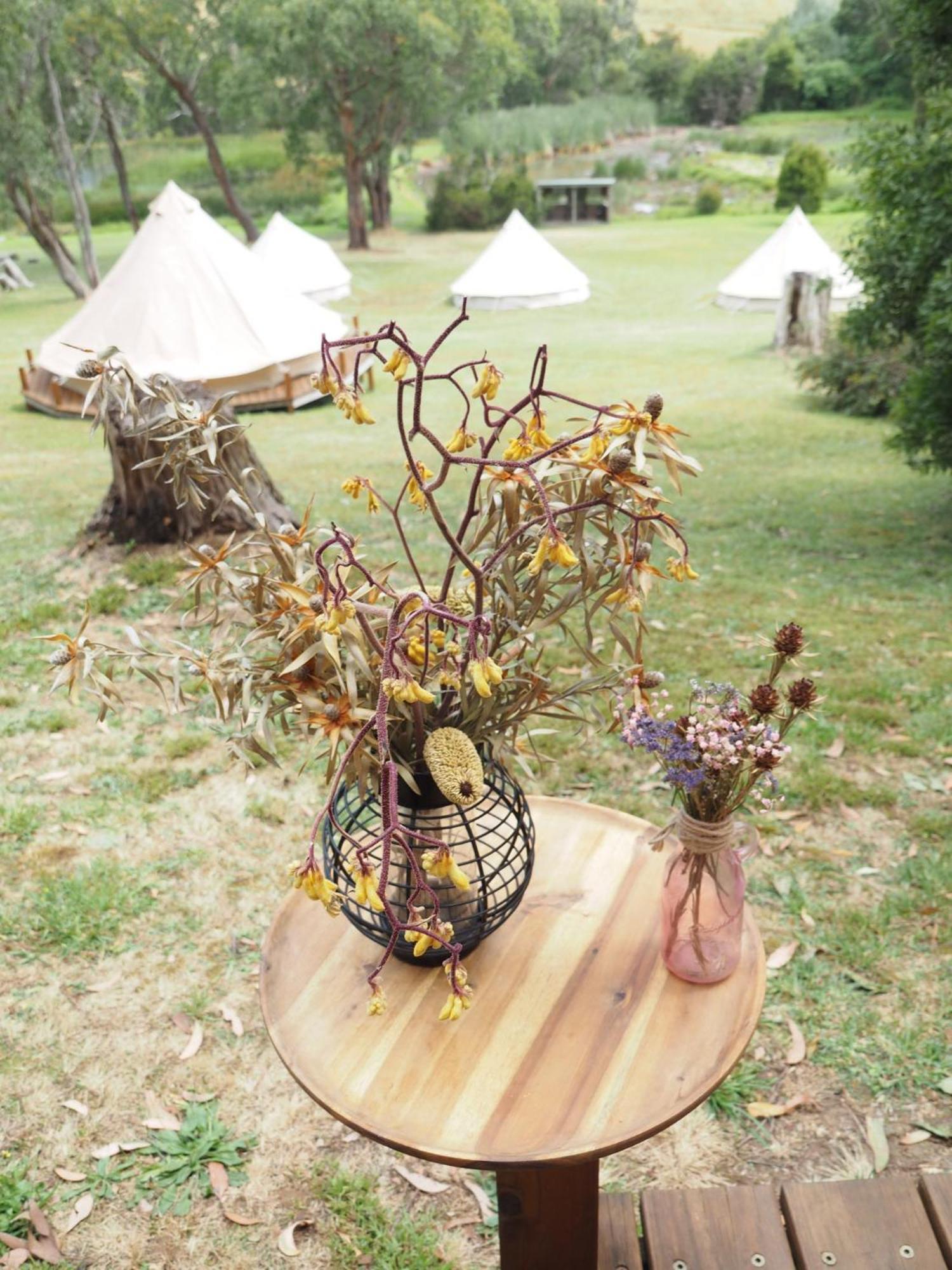 Iluka Retreat Glamping Village Red Hill South Extérieur photo
