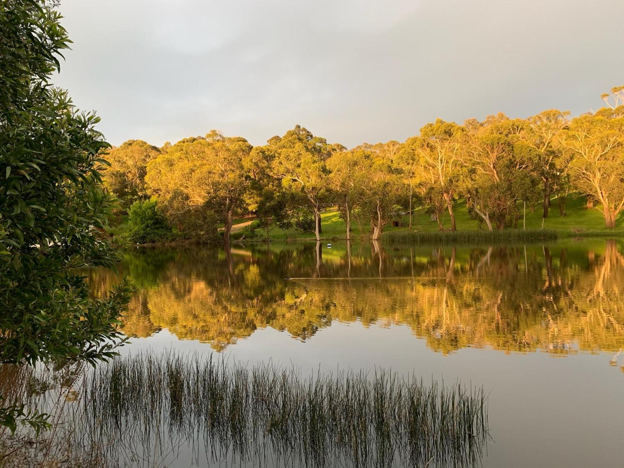 Iluka Retreat Glamping Village Red Hill South Extérieur photo